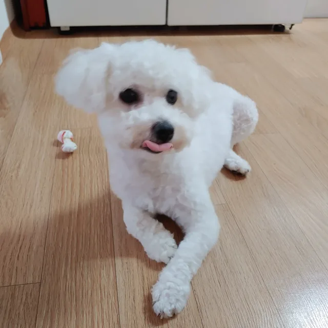 갈보리