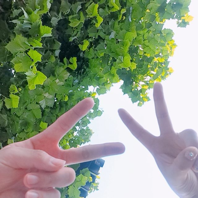리뷰 프로필 이미지