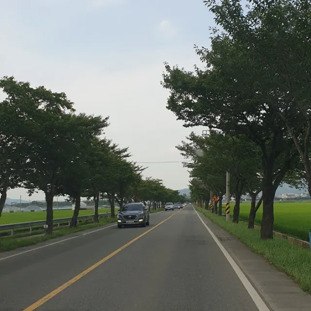 호이