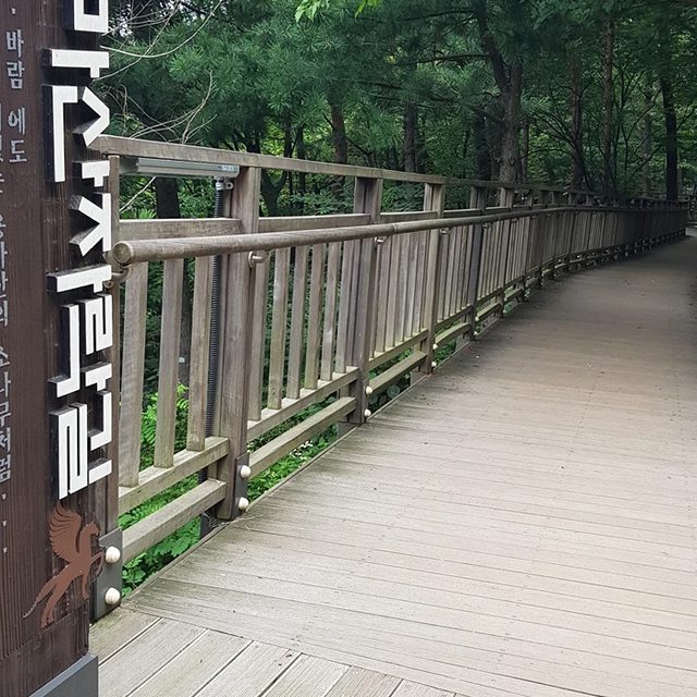 화이팅입니다