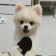 김세환
