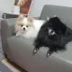 구름사랑
