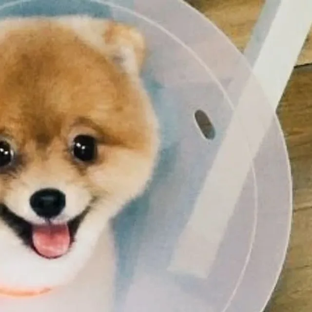 깡깡이