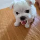 빅토리