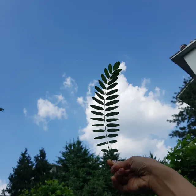 즐거운당근생활
