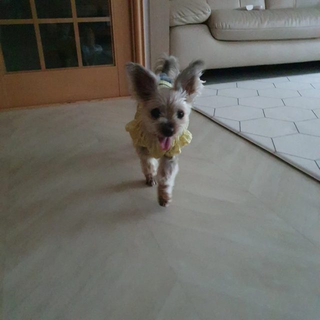 찡맘