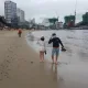대경파파
