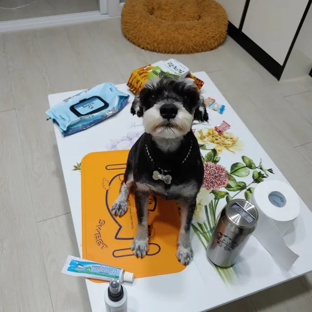 떵싸게