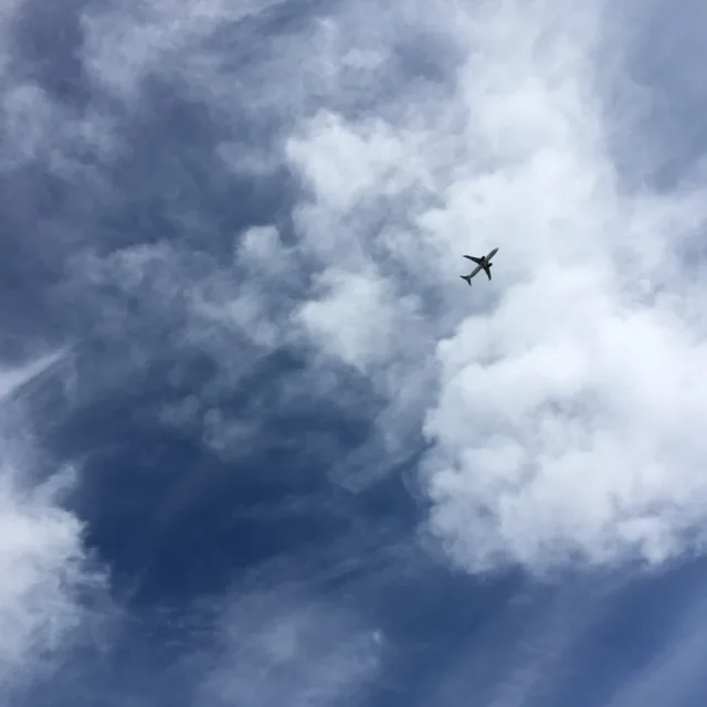 하츄