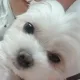당근조은