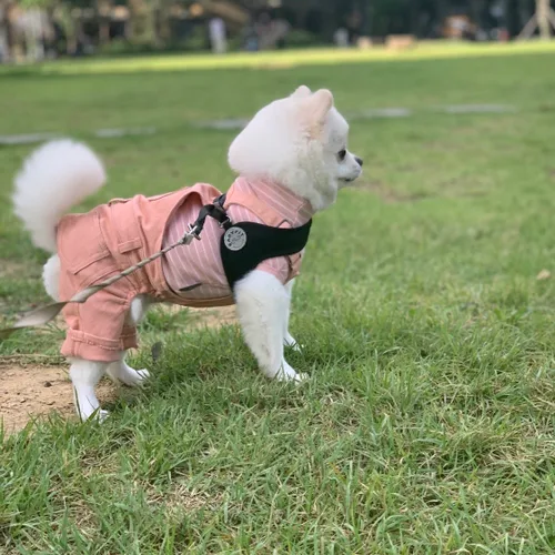 부천중동