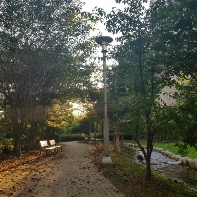 하엘