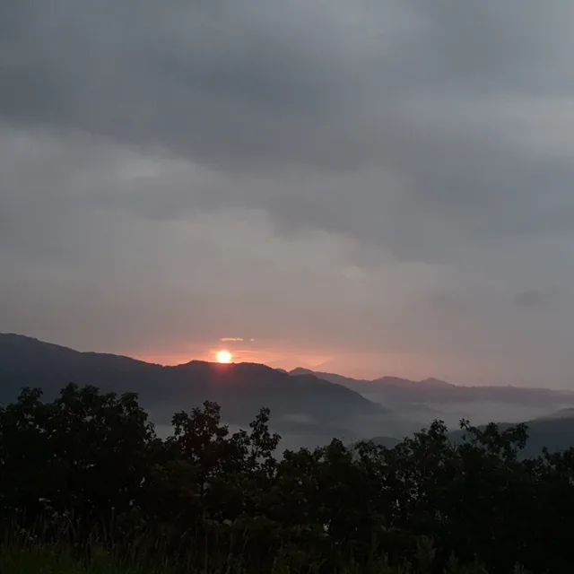 인디핑크