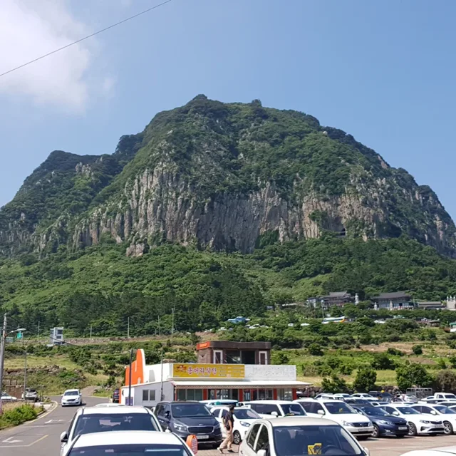 재초제