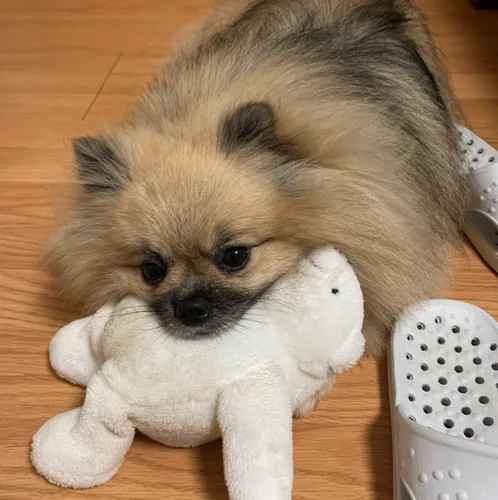 원두커피