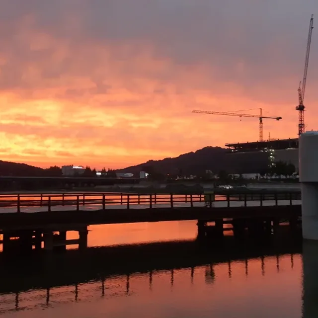 손오공형님