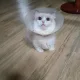 모두의행복