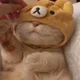 두동이
