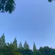 롯시