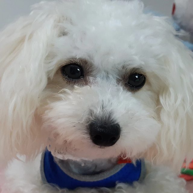 리뷰 프로필 이미지