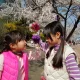 라라로리데디