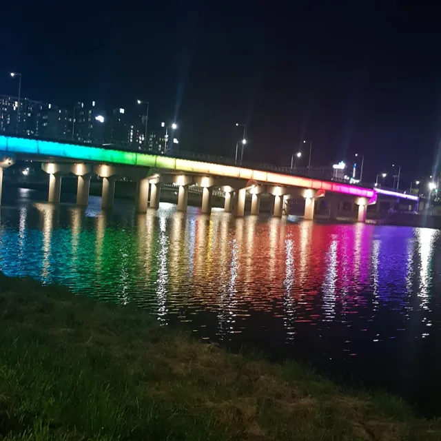 해바라기