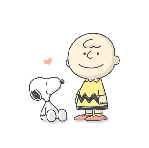 보나조이