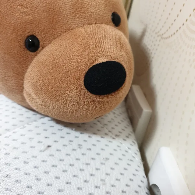 가막살나무
