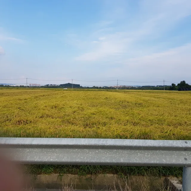 하이파이브