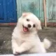 뽀글쌤