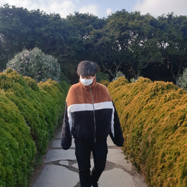 마카로니보이