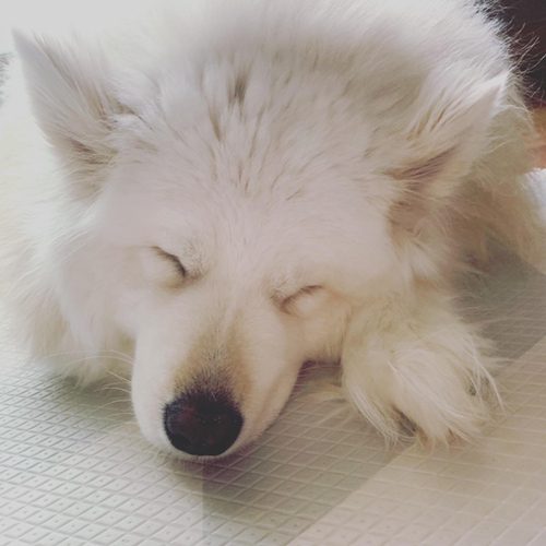 곡반주민