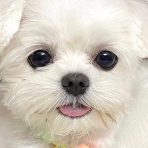 예토리