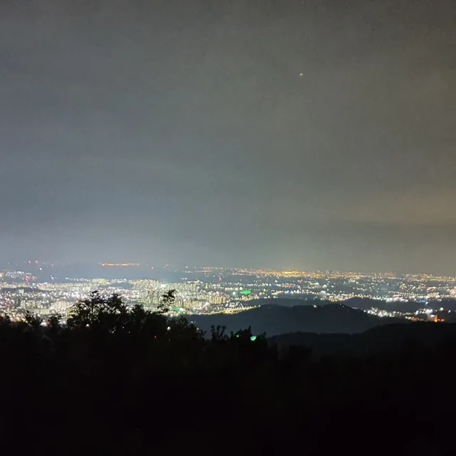 미니