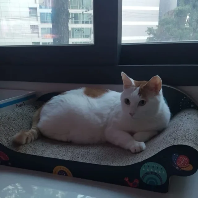 가을위