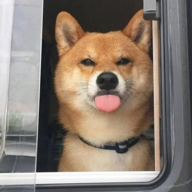 호시탐탐