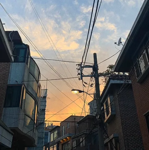 햄벅