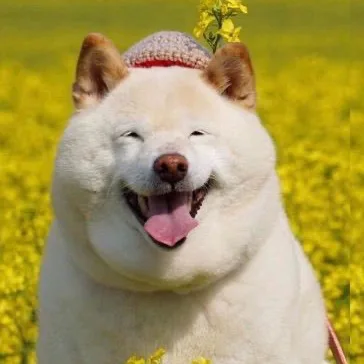 냠이