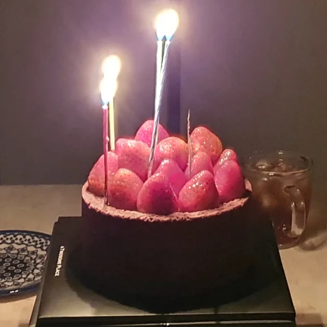 리즈