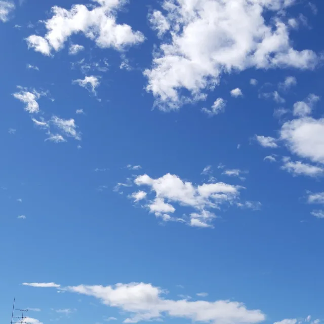 인박