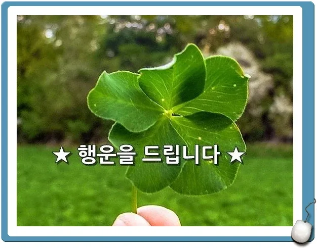 나이스