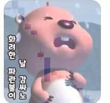 루팡이