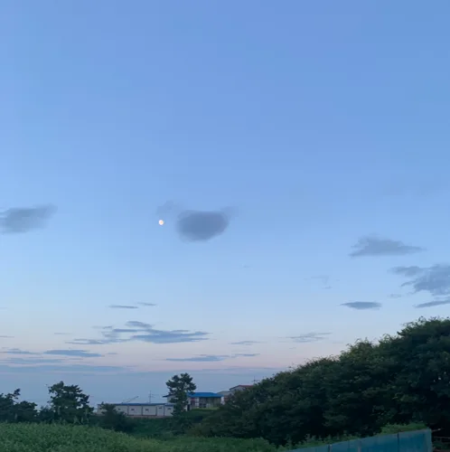 당근페이안해요