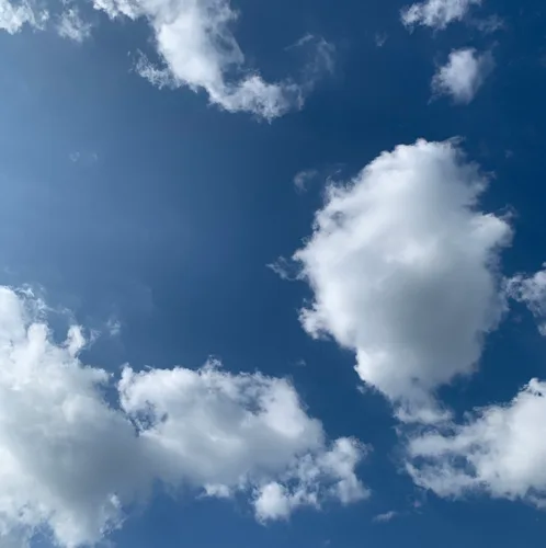 용용밍