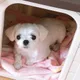 애이밍