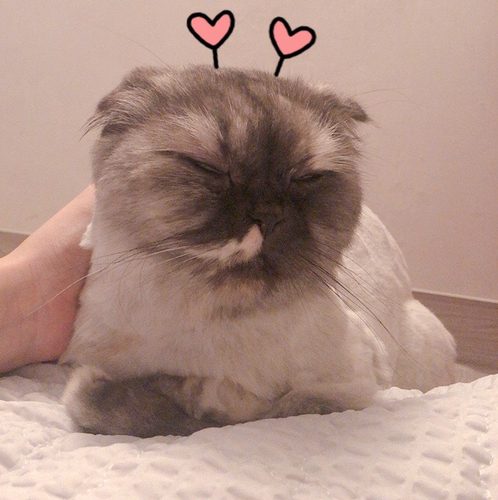 갈치둥이