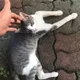 초밥왕
