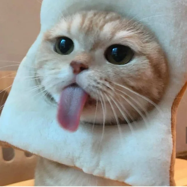 다마