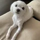 슈퍼맨