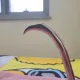 바야바